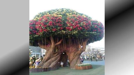 Divers - Maisons incroyables