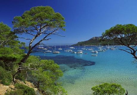 Que vont faire les Français pendant ces vacances ?