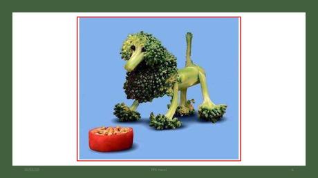 Divers - Fruits et Légumes