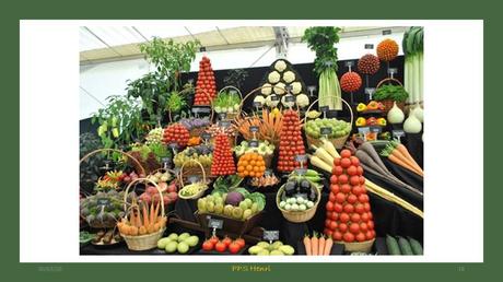 Divers - Fruits et Légumes