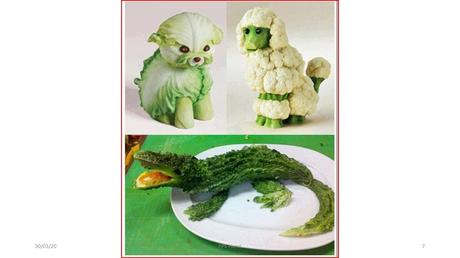 Divers - Fruits et Légumes