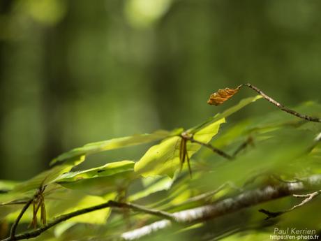 filent les #nuages à #SaintGoazec #Bretagne #Finistère