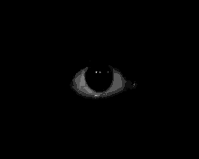Le Trou Le Trou