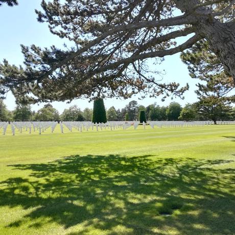 Aucune description de photo disponible.