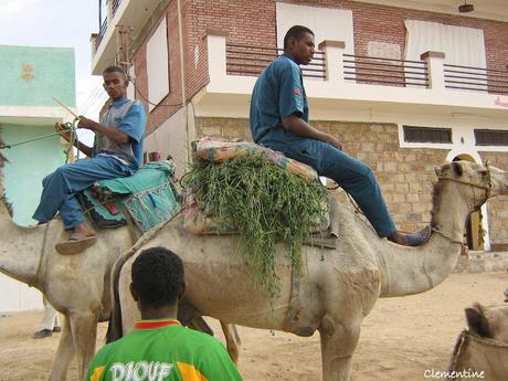 Voyage en Egypte - Traversée du désert