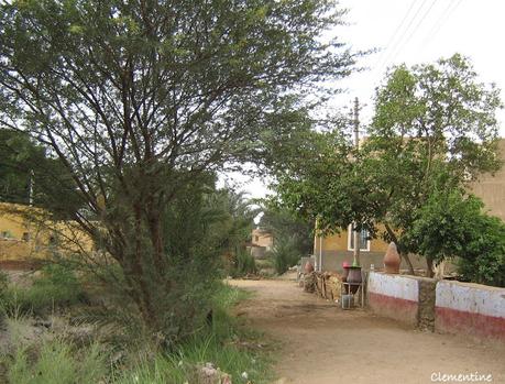 Voyage en Egypte - Traversée du désert Voyage en Egypte - Traversée du désert