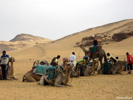Voyage en Egypte - Traversée du désert
