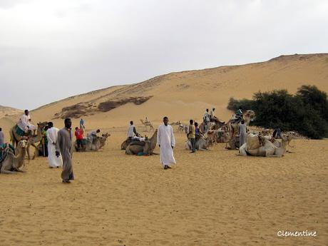 Voyage en Egypte - Traversée du désert