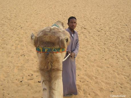 Voyage en Egypte - Traversée du désert