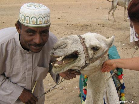 Voyage en Egypte - Traversée du désert