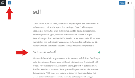 WordPress Gutenberg 9.2 – Des dizaines d’améliorations Capture d'écran du mode d'écriture sans distraction