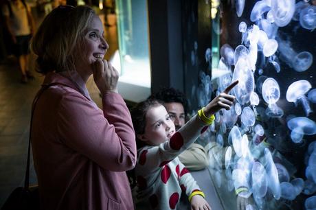 MY ZOÉ de et avec Julie Delpy au Cinéma le 30 Juin 2021 - La Bande Annonce MY ZOÉ de et avec Julie Delpy au Cinéma le 30 Juin 2021