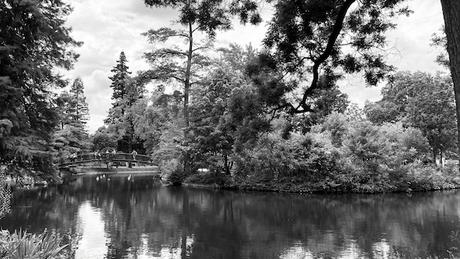 Bordeaux en noir et blanc [2]
