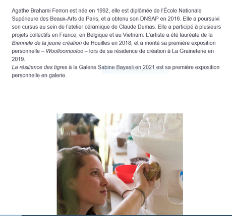 Galerie Sabine Bayasli exposition Agathe Brahami Ferron « La résilience des Tigres » à partir du 17 Juin 2021