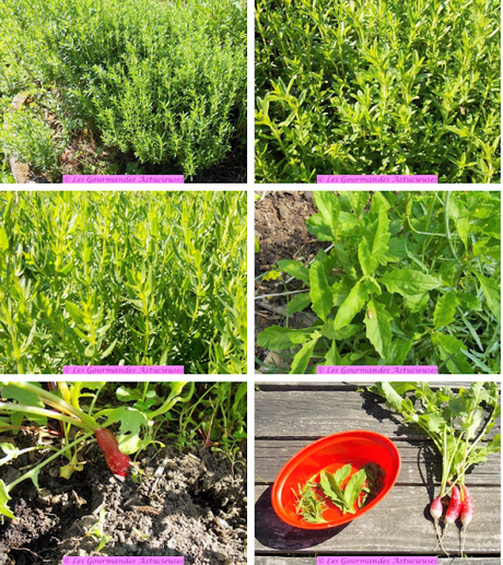 Salade de riz sucrée-salée à l'indienne (Vegan) Salade de riz sucrée-salée à l'indienne (Vegan)