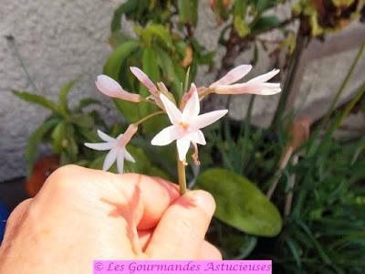 Salade de riz sucrée-salée à l'indienne (Vegan) Salade de riz sucrée-salée à l'indienne (Vegan)