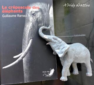 Le crépuscule des éléphants de Guillaume Ramezi