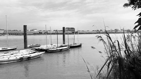 Bordeaux en noir et blanc [5]