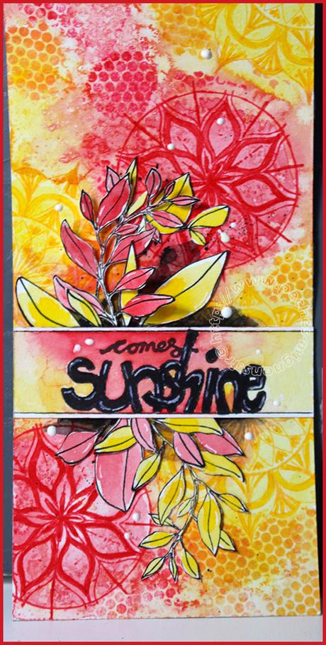 Comme un jour à la maison #14