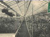 France l'horticulture