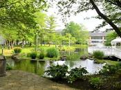 Road: Dawes Arboretum portrait faune abondante l’Ohio
