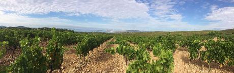 Le Moulin de La Roque – AOP Bandol et Pâté en Croûte Vignes-et-mer…-copie