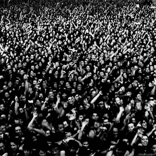 Keleana, Tome 1 : L'Assassineuse    de  Sarah J. Maas