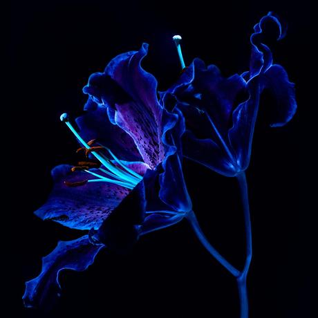 James Heather – Modulations: EP2 James Heather – Modulations: EP2