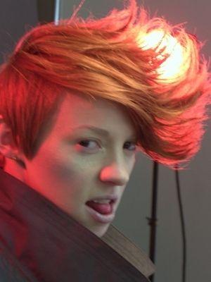 Gousse Rousse, Scarlet Starlet, Charmante Renarde & Chouettes Voisines