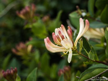 marée haute à #Trégunc #Bretagne #Finistère marée haute à #Trégunc #Bretagne #Finistère