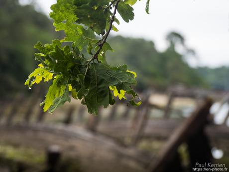 marée haute à #Trégunc #Bretagne #Finistère marée haute à #Trégunc #Bretagne #Finistère
