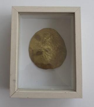 Pigments d’avenir Pigments d’avenir