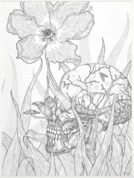 Pigments d’avenir Pigments d’avenir