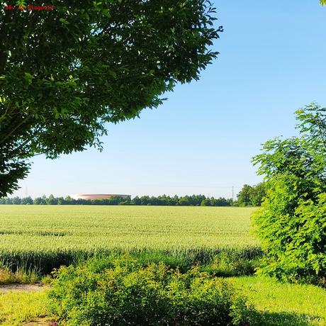 Projet 52-2021 #25 – Eté Projet 52-2021 #25 – Eté