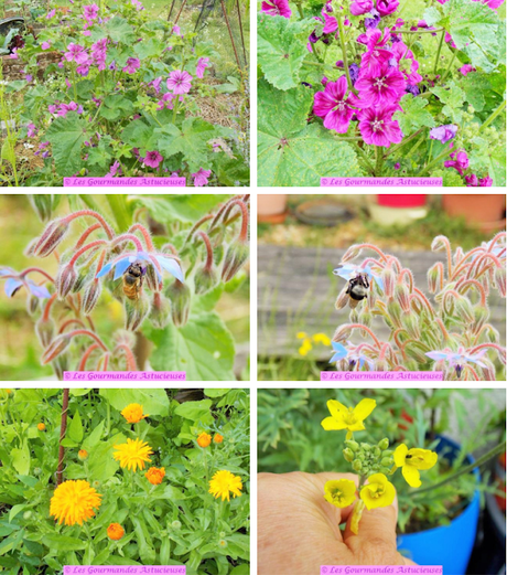 Crème à la roquette et aux petits pois (Vegan) Crème à la roquette et aux petits pois (Vegan)