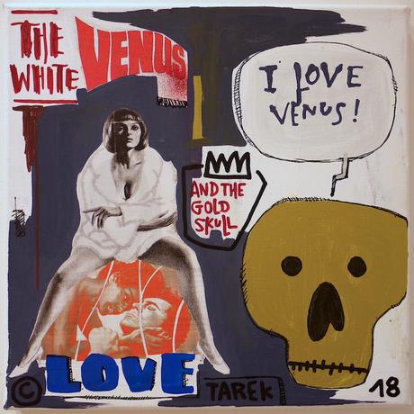 Série Kompozit Skull