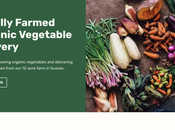 Nous comparons deux grands constructeurs sites