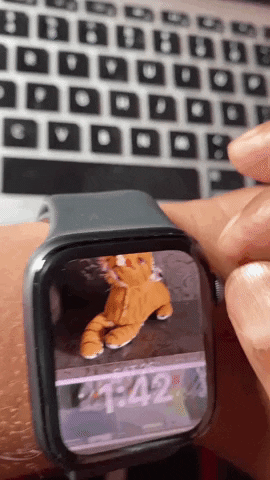 Comment définir le visage de la montre Portraits dans watchOS 8 sur Apple Watch
