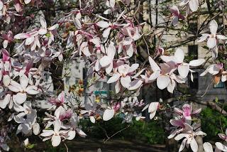 Guérir de sa famille par la psychogénéalogie