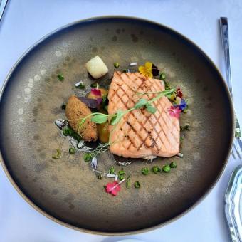 Saumon de fontaine © Patrick Faus