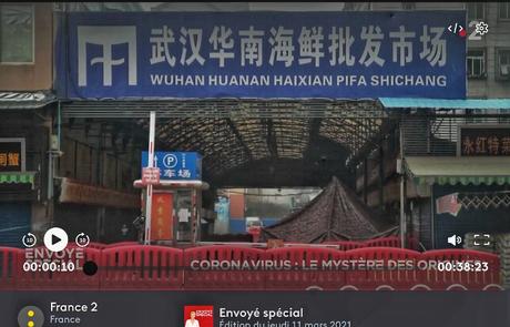 L'origine du SARS-COV 2, le virus qui a provoqué la Covid-19