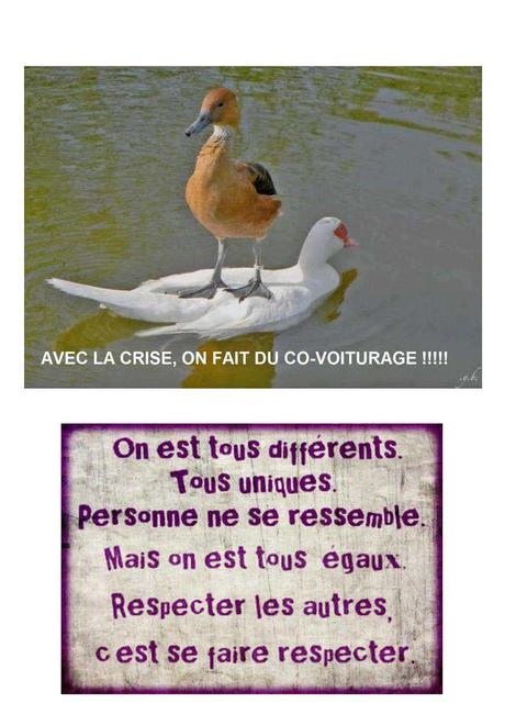 Divers - Allez on sourit