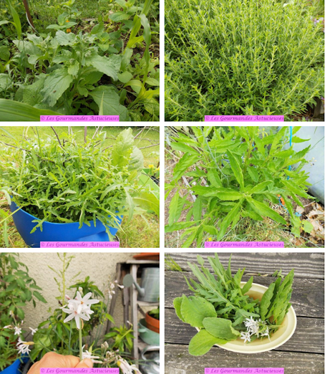 Arroche farcie au riz aromatisé (Vegan)