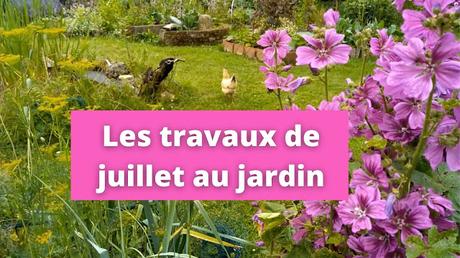 Les travaux de juillet au jardin urbain en permaculture (vidéo)