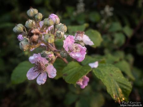 superbe fin de nuit à Karreg an Tan #Gouézec #Bretagne #Finistère superbe fin de nuit à Karreg an Tan #Gouézec #Bretagne #Finistère