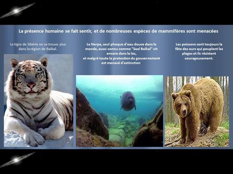 Pays Etranger - La Sibérie - Le lac Baïkal