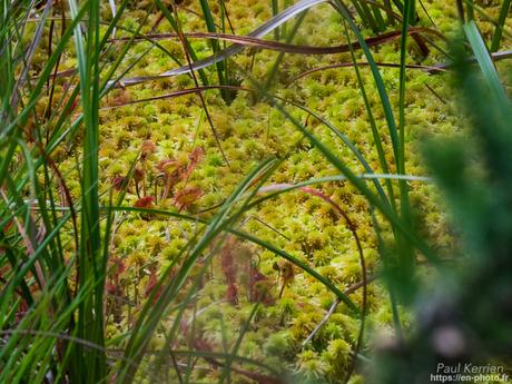 super #sunset #bigouden #Tréguennec #Bretagne #Finistère