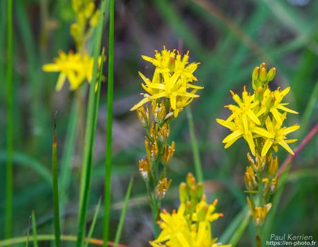 super #sunset #bigouden #Tréguennec #Bretagne #Finistère