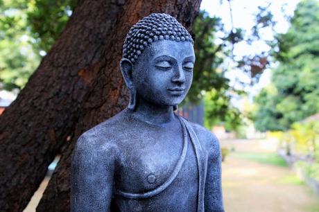 Quand Bouddha se fait insulter Quand Bouddha se fait insulter