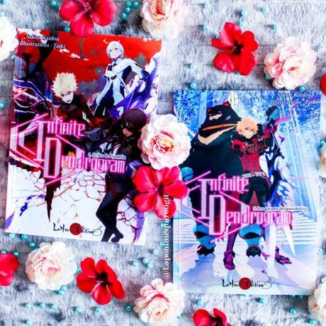 Infinite dendrogram, tome 4 et 5 • Taiki et Kaido Sakon